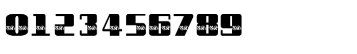 Shree Gujarati 3375 Regular Font OTHER CHARS