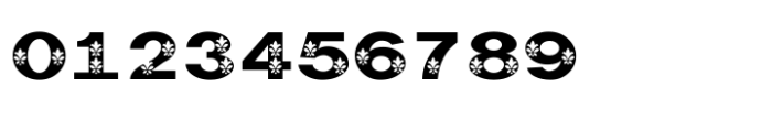 Shree Gujarati 3383 Regular Font OTHER CHARS