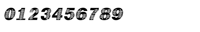 Shree Gujarati 3770 Italic Font OTHER CHARS