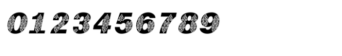 Shree Gujarati 3772 Italic Font OTHER CHARS