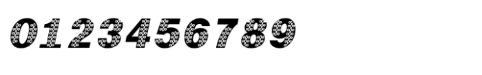 Shree Gujarati 3773 Italic Font OTHER CHARS