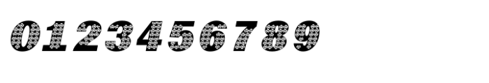 Shree Gujarati 3774 Italic Font OTHER CHARS