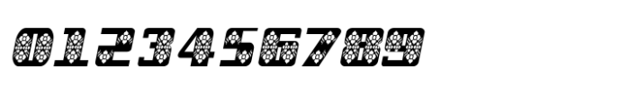 Shree Gujarati 3779 Italic Font OTHER CHARS
