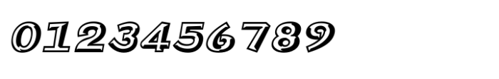 Shree Gujarati 3789 Italic Font OTHER CHARS