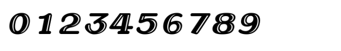 Shree Gujarati 3799 Italic Font OTHER CHARS