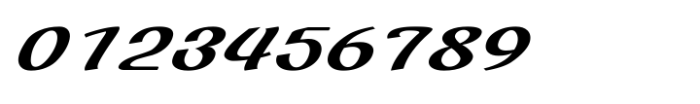 Shree Gujarati 5201 Italic Font OTHER CHARS