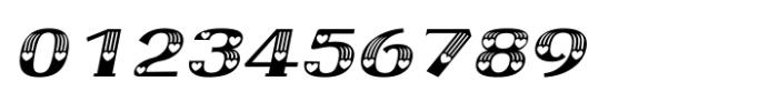 Shree Gujarati 5215 Italic Font OTHER CHARS