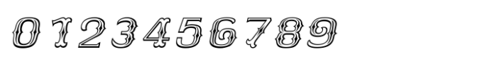 Shree Gujarati 5223 Italic Font OTHER CHARS