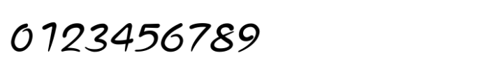 Shree Gujarati 6604 Italic Font OTHER CHARS
