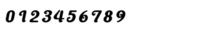 Shree Gujarati 6609 Italic Font OTHER CHARS