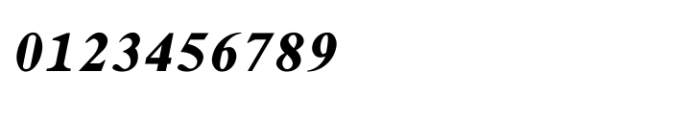 Shree Kannada 1422 Italic Font OTHER CHARS