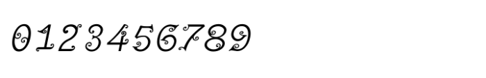 Shree Malayalam 0536 Italic Font OTHER CHARS