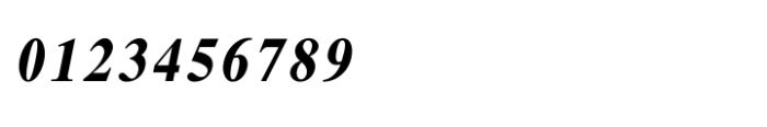 Shree Malayalam 1822 Italic Font OTHER CHARS