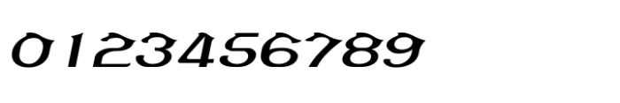 Shree Malayalam 1851 Italic Font OTHER CHARS