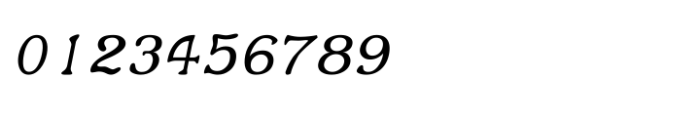 Shree Malayalam 1887 Italic Font OTHER CHARS