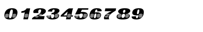 Shree Malayalam 4402 Italic Font OTHER CHARS