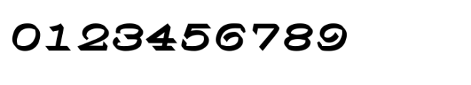 Shree Malayalam 4420 Bold Italic Font OTHER CHARS