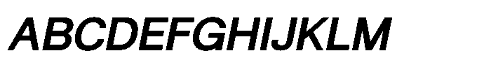 Shree Punjabi 3128 Shree Pun3128 Bold Italic Font UPPERCASE