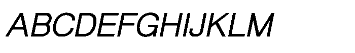 Shree Punjabi 3128 Shree Pun3128 Italic Font UPPERCASE