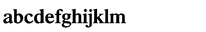 Shree Punjabi 3143 Shree Pun3143 Bold FONT