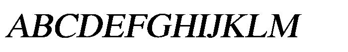 Shree Punjabi 3143 Shree Pun3143 Italic Font UPPERCASE