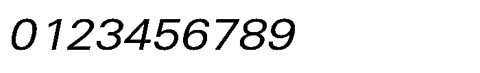 Shree Punjabi 3149 Italic Font OTHER CHARS