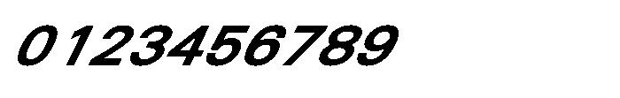 Shree Punjabi 3153 Black Italic Font OTHER CHARS