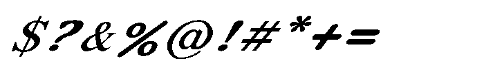 Shree Punjabi 3153 Black Italic Font OTHER CHARS