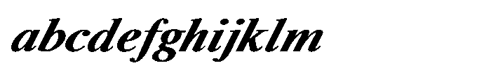 Shree Punjabi 3153 Black Italic FONT