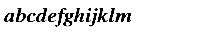 Shree Punjabi 3166 Bold FONT
