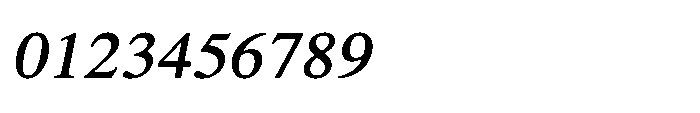 Shree Punjabi 3173 Shree Pun3173 Bold Italic Font OTHER CHARS