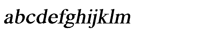 Shree Punjabi 3173 Shree Pun3173 Bold Italic FONT