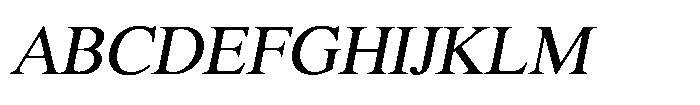 Shree Punjabi 3176 Light Italic Font UPPERCASE