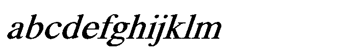 Shree Punjabi 3185 Bold FONT