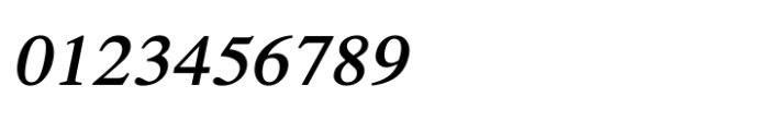 Shree Punjabi 5800 Bold Italic Font OTHER CHARS