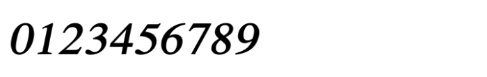 Shree Punjabi 5800 Italic Font OTHER CHARS