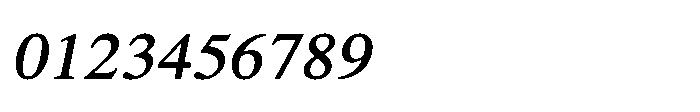 Shree Punjabi 5800 Shree Pun5800 Italic Font OTHER CHARS