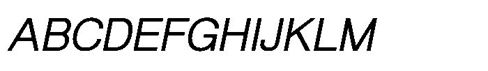 Shree Punjabi 5802 Italic Font UPPERCASE
