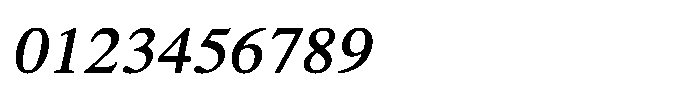 Shree Punjabi 5804 Italic Font OTHER CHARS