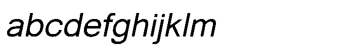 Shree Punjabi 5804 Italic FONT