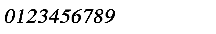 Shree Punjabi 5807 Italic Font OTHER CHARS