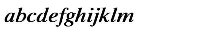 Shree Tamil 0810 Bold Italic Font LOWERCASE