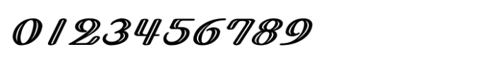 Shree Tamil 1327 Italic Font OTHER CHARS