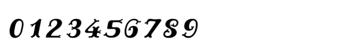 Shree Tamil 1335 Italic Font OTHER CHARS