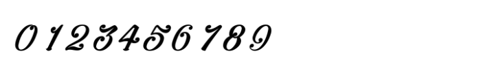Shree Tamil 1370 Italic Font OTHER CHARS