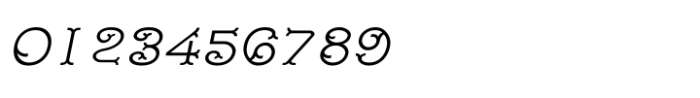 Shree Tamil 1373 Italic Font OTHER CHARS