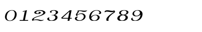 Shree Tamil 1385 Italic Font OTHER CHARS