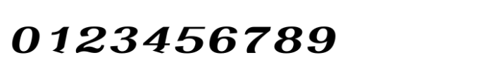 Shree Tamil 2897 Italic Font OTHER CHARS