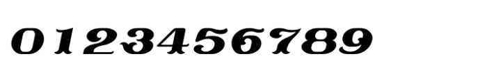 Shree Tamil 3821 Italic Font OTHER CHARS