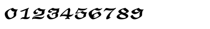 Shree Tamil 3824 Italic Font OTHER CHARS